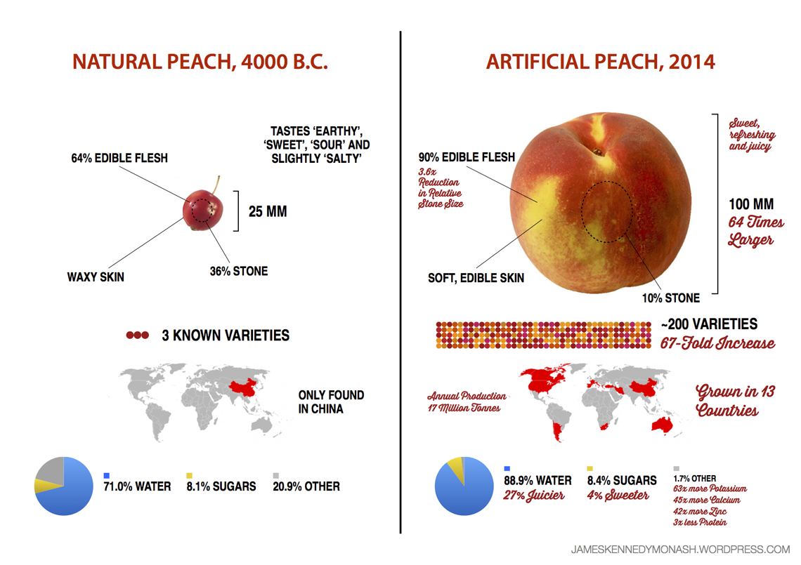 evolucia-rastlin-peach